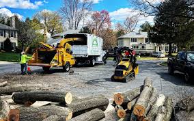 Best Lot and Land Clearing  in Califon, NJ