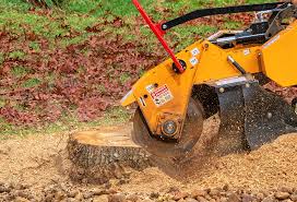 Lawn Drainage Solutions in Califon, NJ