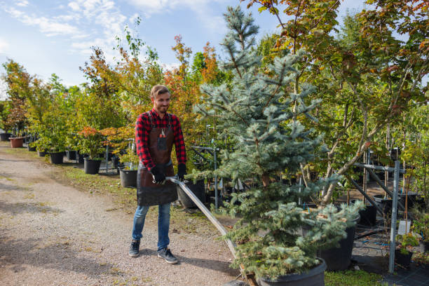 Best Commercial Tree Services  in Califon, NJ